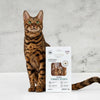 Turkey Strips For Cat, 30g