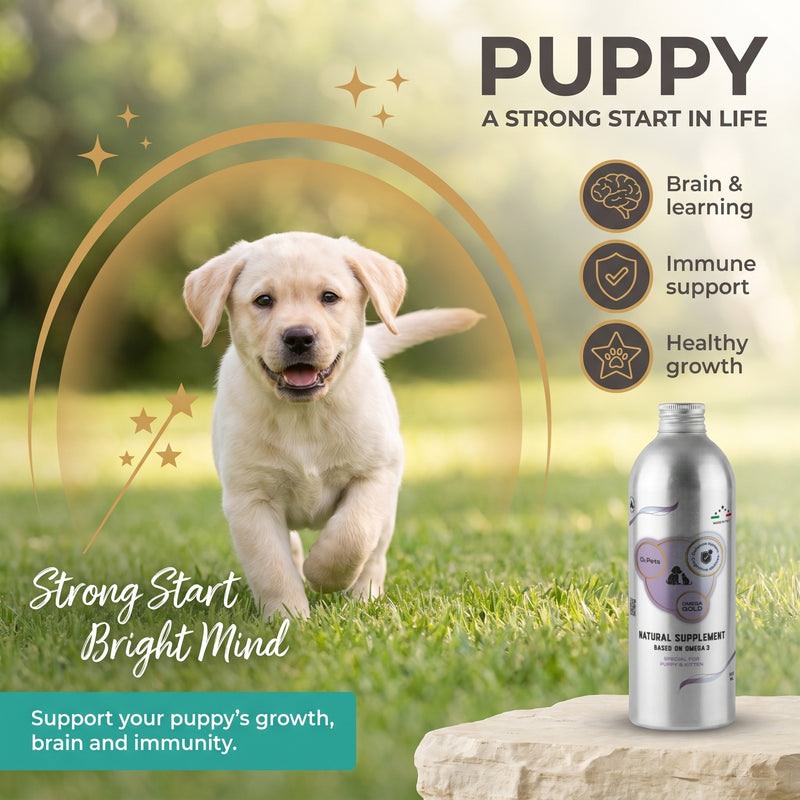 Natural Supplement Based on Omega-3 for Puppy