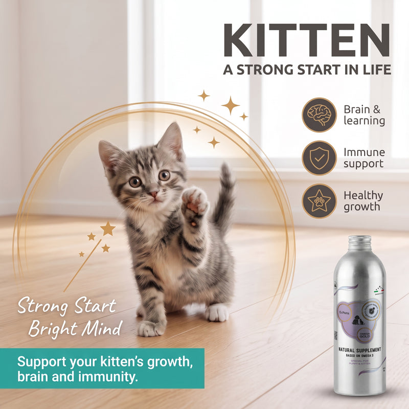 Natural Supplement Based on Omega-3 for Kitten