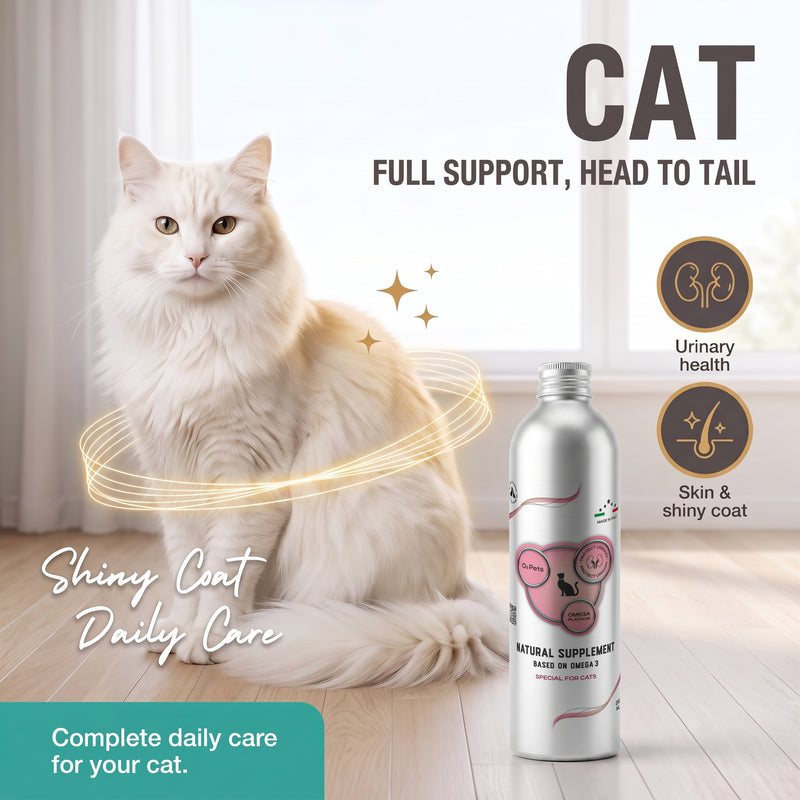 Natural Supplement Based on Omega-3 for Cats