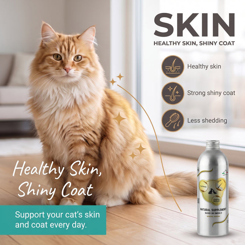 Natural Supplement Based on Omega-3 SKIN For Cat