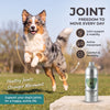 Natural Supplement Based on Omega-3 JOINT For Dog