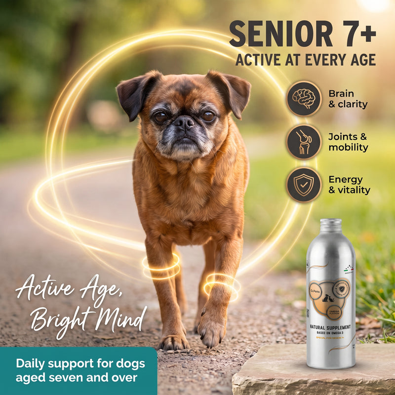 Natural Supplement Based on Omega-3 for Senior 7+ Dog