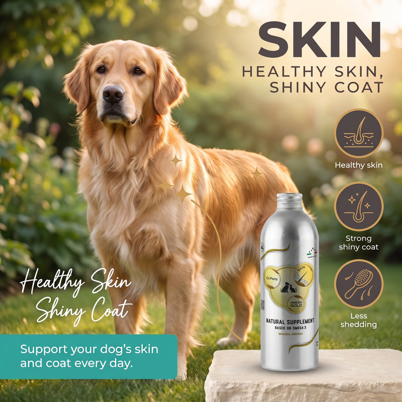 Natural Supplement Based on Omega-3 SKIN For Dog