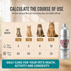 Natural Supplement Based on Omega-3 for Cats